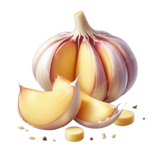 Garlic